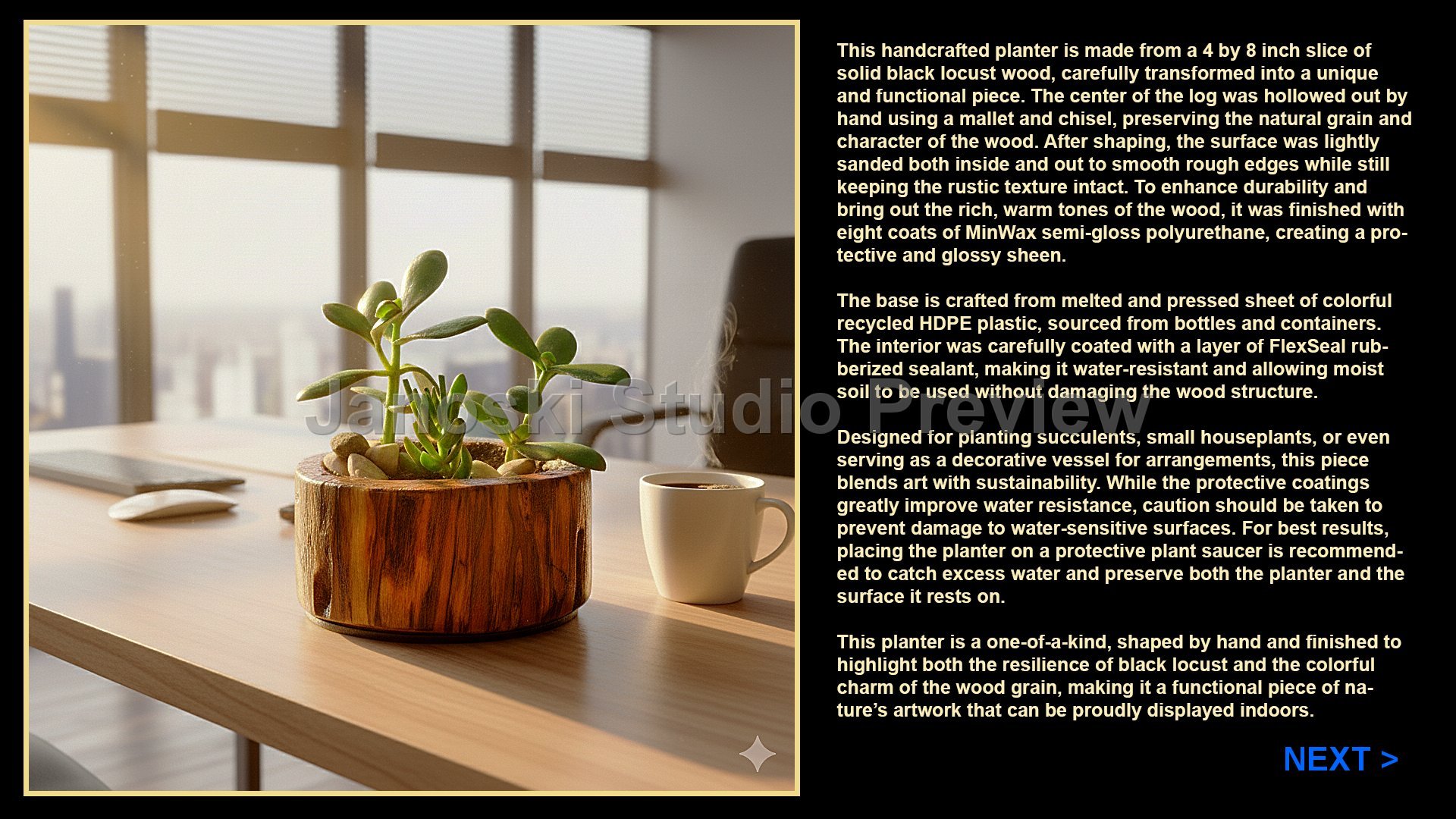 succulent planterSM